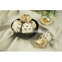 White Flower Mushroom Dried Vegetable Best Selling Products